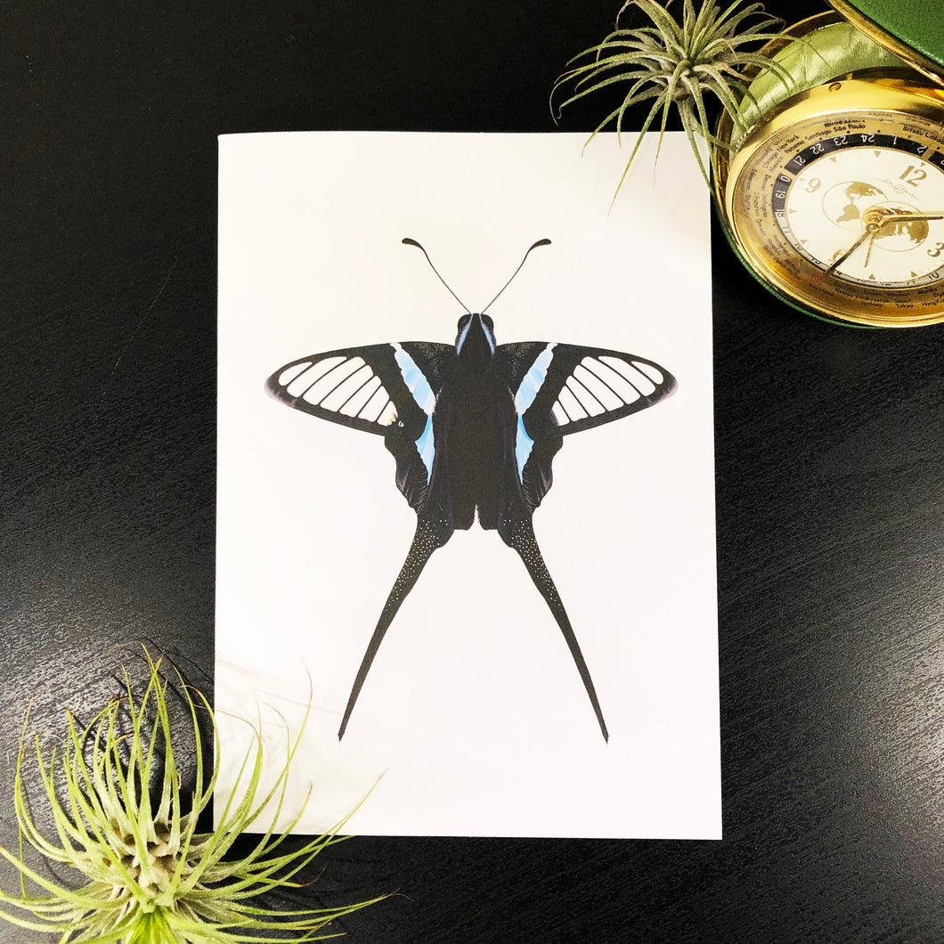 Green Dragontail Butterfly Infographic Greeting Card
