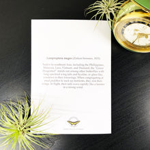 Load image into Gallery viewer, Green Dragontail Butterfly Infographic Greeting Card