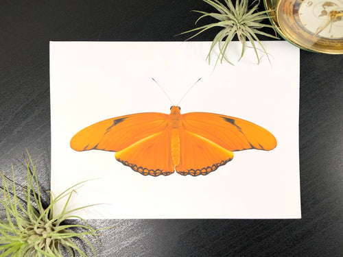 Flame Butterfly Infographic Greeting Card