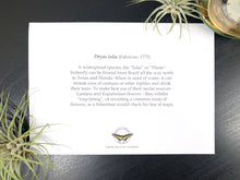 Load image into Gallery viewer, Flame Butterfly Infographic Greeting Card