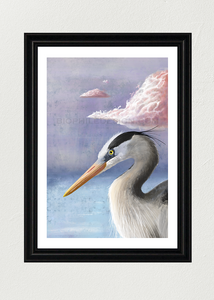 Indigo Dawn (Great Blue Heron) Print