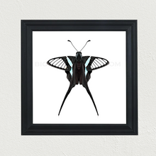 Load image into Gallery viewer, Green Dragontail (Lamproptera meges) Print